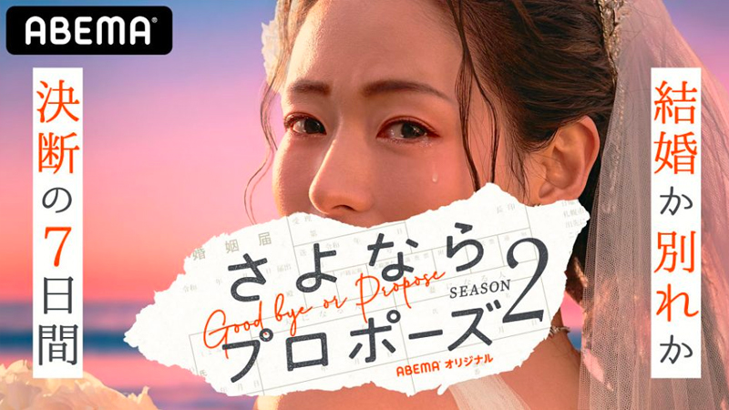 さよならプロポーズ2